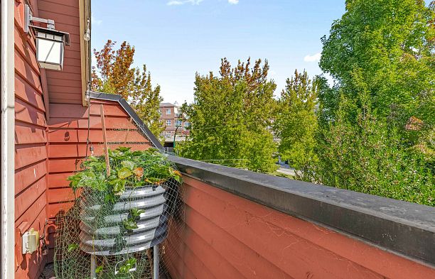 3103 St. George Street Mount Pleasant VE