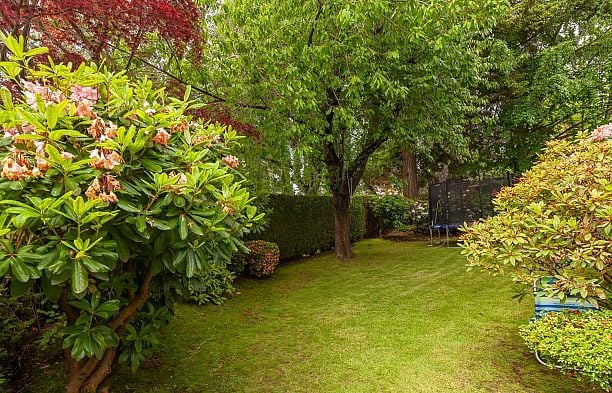 1989 W 52nd Avenue Kerrisdale