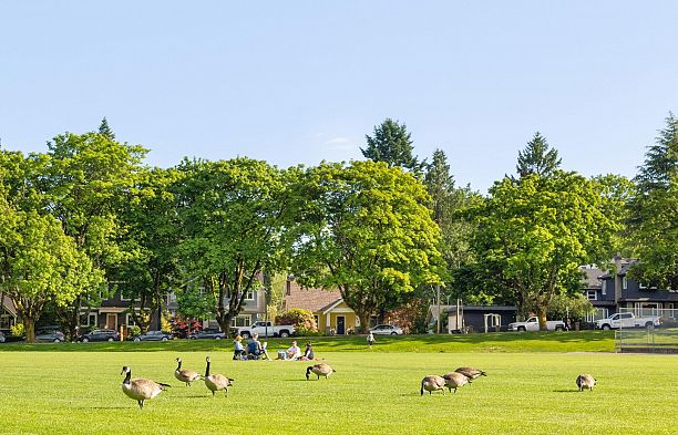 305 980 W 21 Avenue Cambie