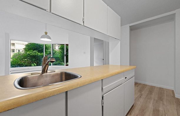 222 1333 Hornby Street Downtown VW