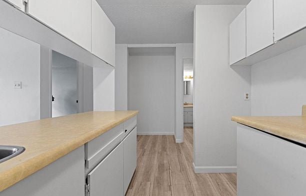 222 1333 Hornby Street Downtown VW