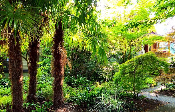 2214 W 14th Avenue Kitsilano