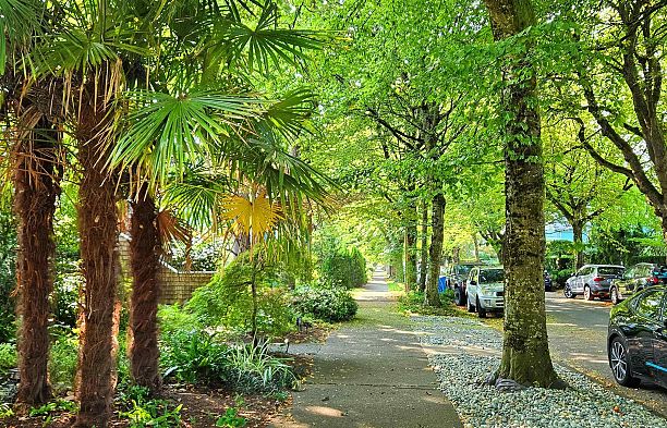 2214 W 14th Avenue Kitsilano