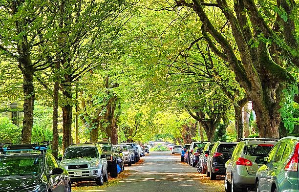 2214 W 14th Avenue Kitsilano