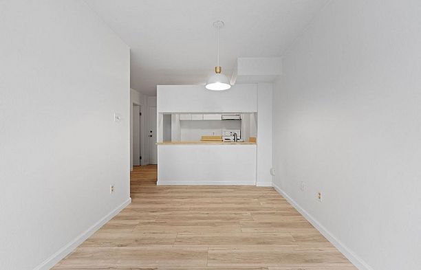 222 1333 Hornby Street Downtown VW
