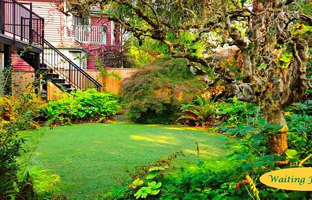 2214 W 14th Avenue Kitsilano