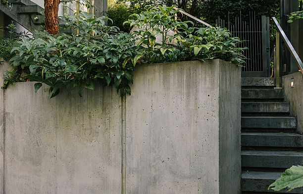 5038 Arbutus Street Quilchena