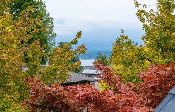 4228 W 11th Avenue Point Grey