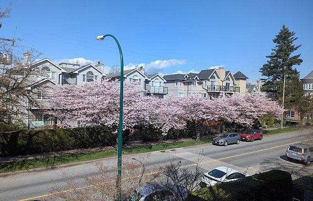 305 868 W 16th Avenue Cambie