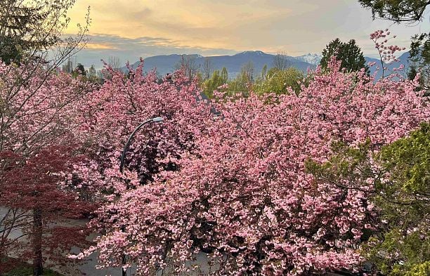 1082 E 10th Avenue Mount Pleasant VE