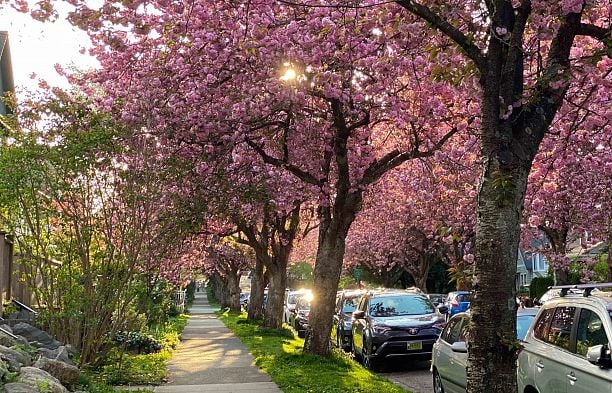 1082 E 10th Avenue Mount Pleasant VE