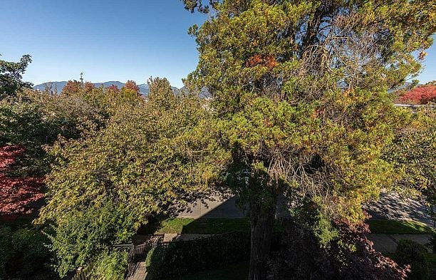 1082 E 10th Avenue Mount Pleasant VE