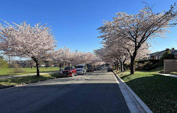 106 477 W 59th Avenue South Cambie