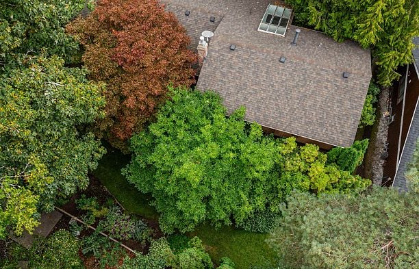 4262 Yuculta Crescent University VW