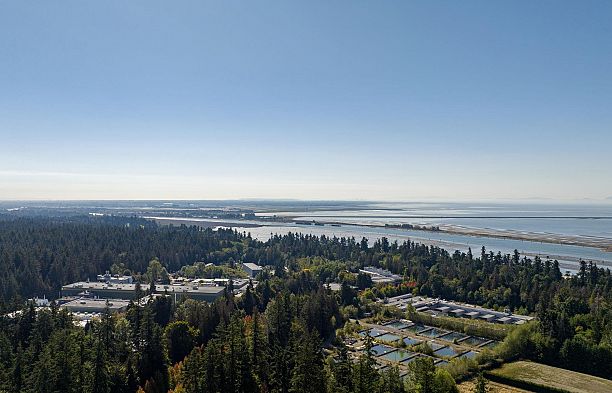 #410 3581 Ross Drive University VW