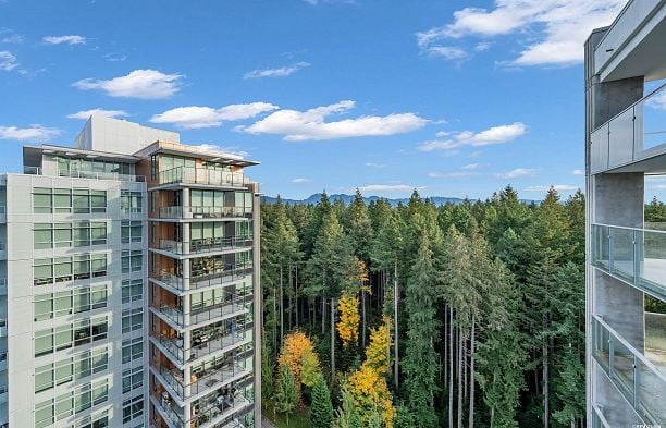 2303 3355 Binning Road University VW