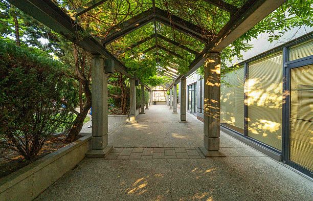 1808 1188 Howe Street Downtown VW