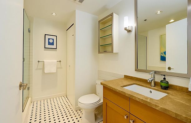 1605 821 Cambie Street Downtown VW