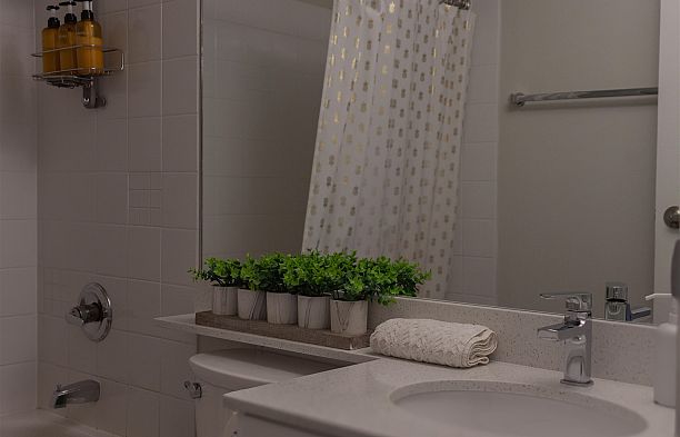 509 1249 Granville Street Downtown VW