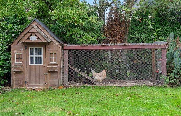 2138 W 21st Avenue Arbutus