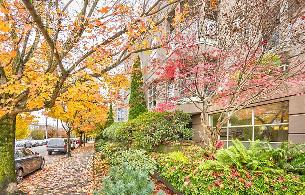 204 1082 W 8th Avenue Fairview VW