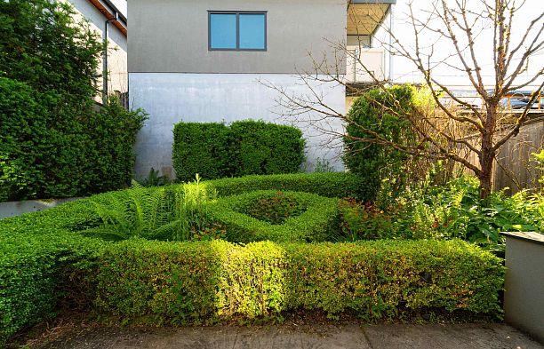 4371 Puget Drive Arbutus