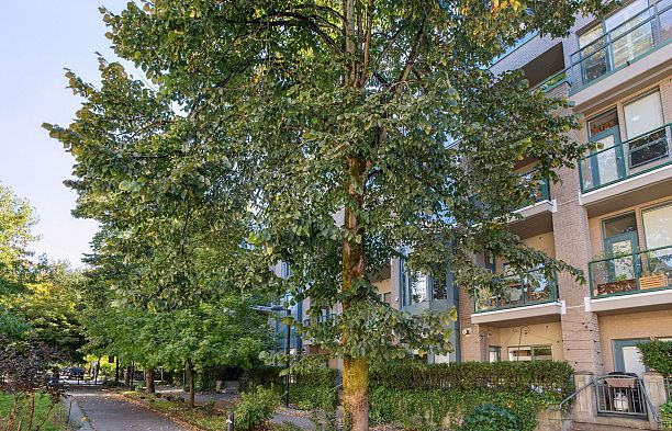 210 2028 W 11th Avenue Kitsilano