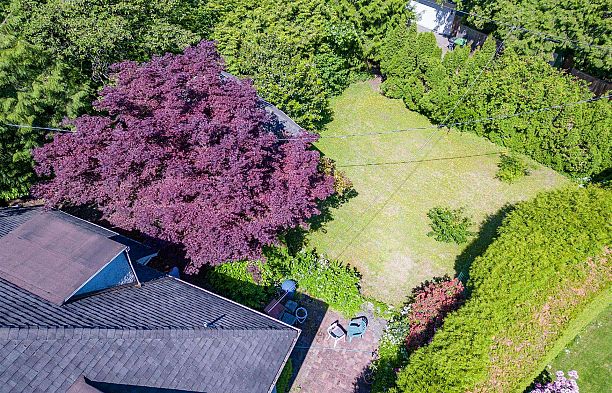 5549 Churchill Street Shaughnessy