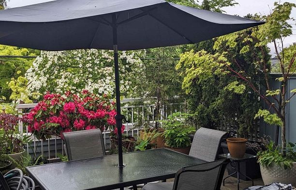 209 3333 W 4th Avenue Kitsilano