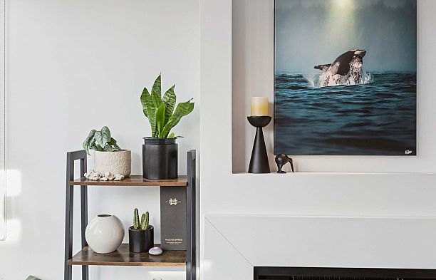 426 3228 Tupper Street Cambie