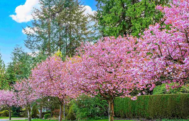 5078 Main Street Main