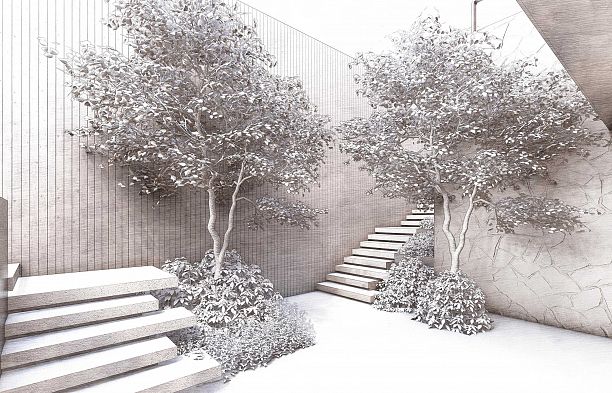 3455 Maple Street Shaughnessy