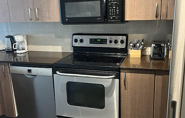 1508 610 Granville Street Downtown VW