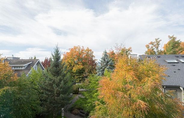 5952 Chancellor Mews University VW