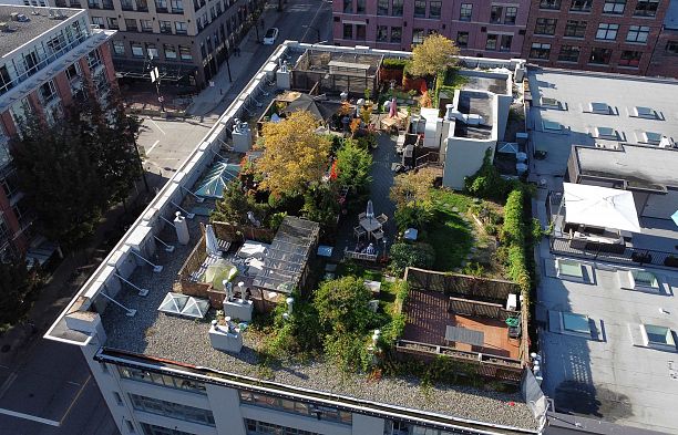 210 1178 Hamilton Street Yaletown