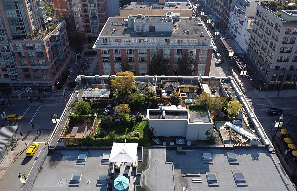 210 1178 Hamilton Street Yaletown