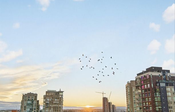 902 950 Drake Street Downtown VW