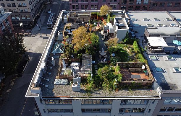 210 1178 Hamilton Street Yaletown