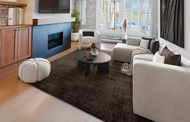 210 1178 Hamilton Street Yaletown