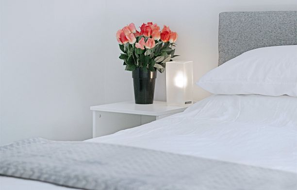 1045 RICHARDS STREET, Vancouver BC V6B 0C2 Downtown VW