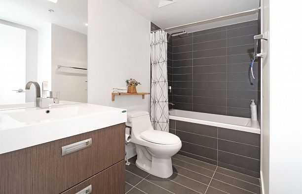 1045 RICHARDS STREET, Vancouver BC V6B 0C2 Downtown VW