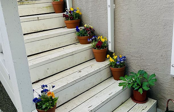 2813 W 21st Avenue Arbutus