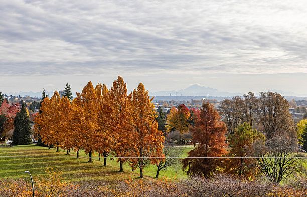 408 7638 Cambie Street Marpole