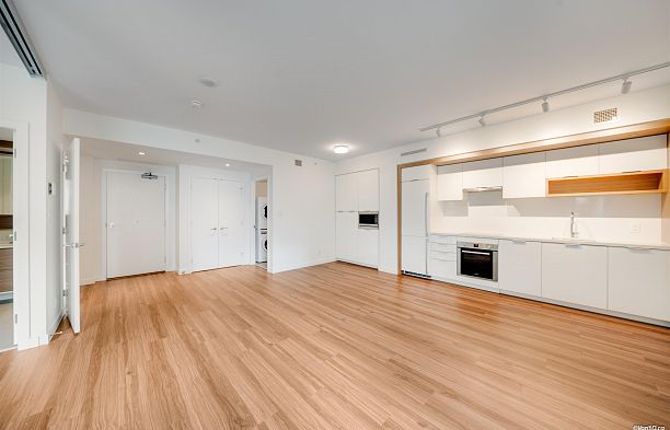 316 1661 Quebec Street Mount Pleasant VE