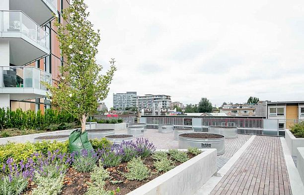 501 2508 Watson Street Mount Pleasant VE