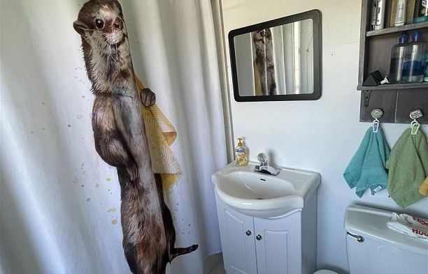 88 W 48th Avenue Oakridge VW