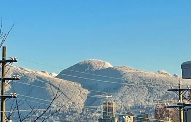 312 2033 W 7th Avenue Kitsilano