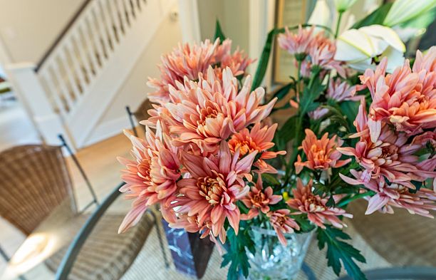 3141 W 39th Avenue Kerrisdale