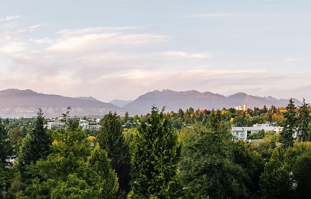 5038 Arbutus Street Quilchena