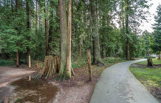 1705 3487 Binning Road University VW